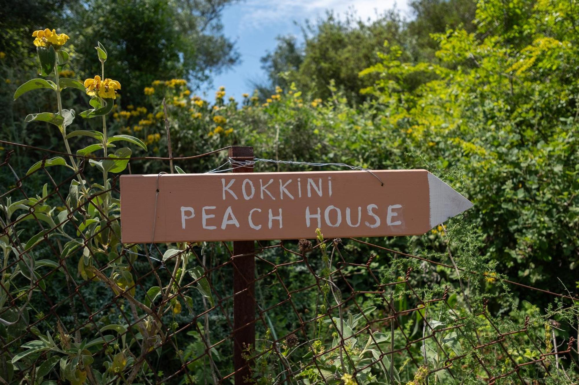 شقة Kokkini Peach House Kokkínion المظهر الخارجي الصورة