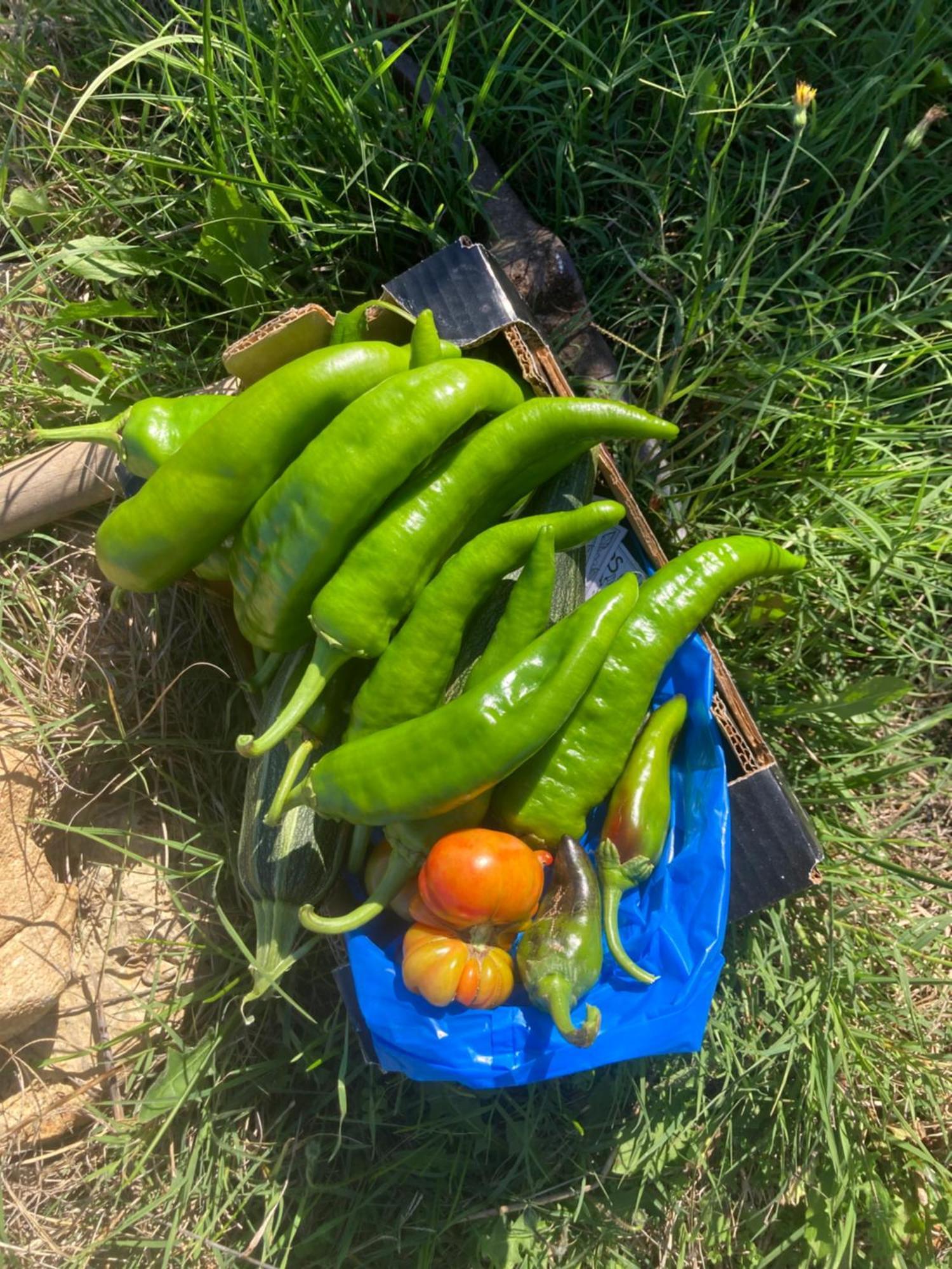 شقة Kokkini Peach House Kokkínion المظهر الخارجي الصورة