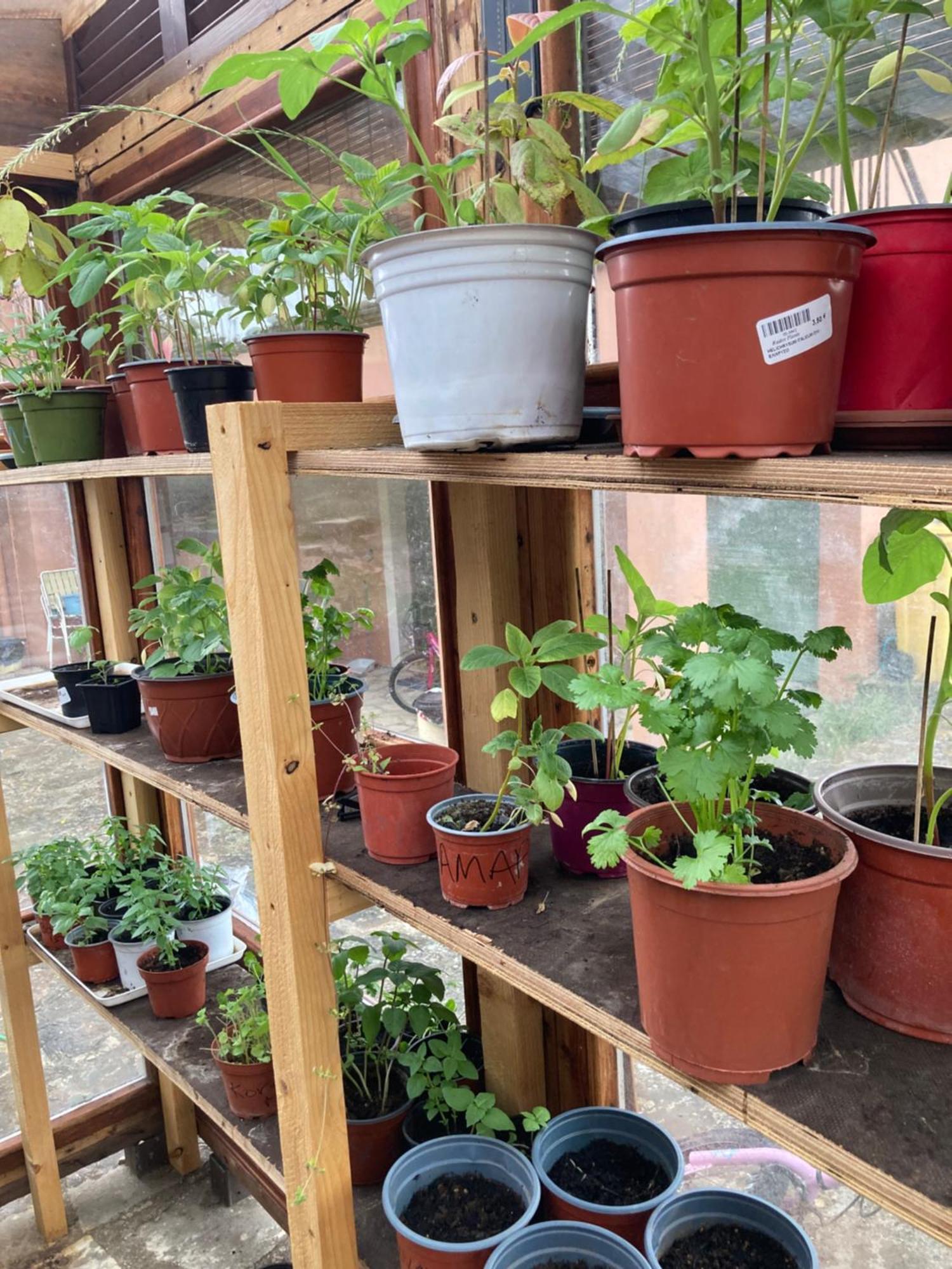 شقة Kokkini Peach House Kokkínion المظهر الخارجي الصورة